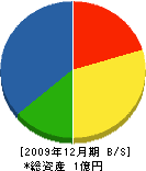 山田建業 貸借対照表 2009年12月期