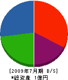 中島建設 貸借対照表 2009年7月期