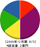 前田建材店 貸借対照表 2008年12月期