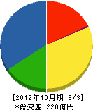 上村建設 貸借対照表 2012年10月期