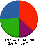 清谷商店 貸借対照表 2010年10月期
