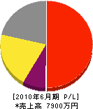 南日本ＡＶＣシステム 損益計算書 2010年6月期