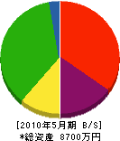 鎌田設備 貸借対照表 2010年5月期