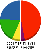 飯村建工 貸借対照表 2008年9月期