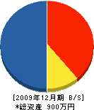 明広開発 貸借対照表 2009年12月期