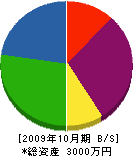 小川造園 貸借対照表 2009年10月期