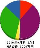 永野組 貸借対照表 2010年9月期