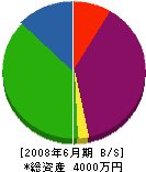井原土木 貸借対照表 2008年6月期