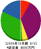 宮本塗装工業 貸借対照表 2009年10月期