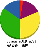 トシカワ 貸借対照表 2010年10月期