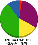 テクノシンワ 貸借対照表 2008年4月期