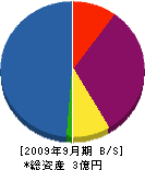 雄堀興発 貸借対照表 2009年9月期