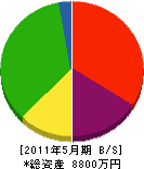 鎌田設備 貸借対照表 2011年5月期