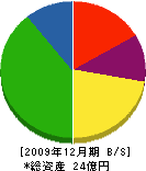 渡辺工務店 貸借対照表 2009年12月期