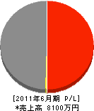 佐々木海事興業所 損益計算書 2011年6月期