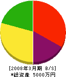 高見澤土木 貸借対照表 2008年3月期