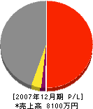 石坂材木店 損益計算書 2007年12月期