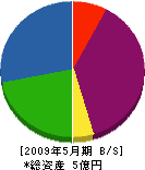 中川電気工業 貸借対照表 2009年5月期