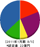 昭和 貸借対照表 2011年1月期