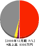 達川組 損益計算書 2008年12月期