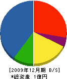 矢野重機建設 貸借対照表 2009年12月期