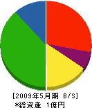 松栄建設 貸借対照表 2009年5月期