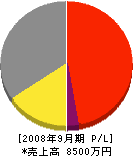 上野産業 損益計算書 2008年9月期