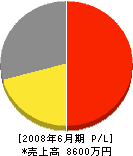 白岩設備工業 損益計算書 2008年6月期