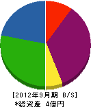 寺島製材所 貸借対照表 2012年9月期