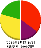 高見澤土木 貸借対照表 2010年3月期
