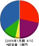 ナカヤ工芸 貸借対照表 2009年1月期