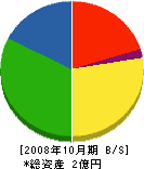 内田鑿泉 貸借対照表 2008年10月期