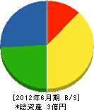 長井電機 貸借対照表 2012年6月期