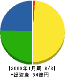 塚原石産興業 貸借対照表 2009年1月期