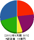 渋沢 貸借対照表 2012年6月期