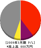 石山電気 損益計算書 2009年3月期