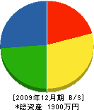 藤崎建設 貸借対照表 2009年12月期