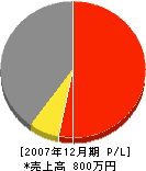シノダ建工 損益計算書 2007年12月期