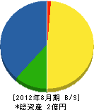 岩崎緑化 貸借対照表 2012年8月期
