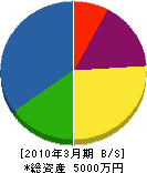 芹沢造園土木 貸借対照表 2010年3月期