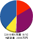 富士緑化 貸借対照表 2010年6月期