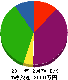 新日本機材 貸借対照表 2011年12月期