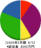広島建設 貸借対照表 2008年9月期
