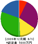 小川 貸借対照表 2009年12月期