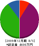 上川建設 貸借対照表 2009年12月期