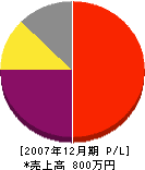 佐藤電気 損益計算書 2007年12月期