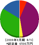 三栄電機 貸借対照表 2008年8月期