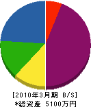 嶋田工務所 貸借対照表 2010年3月期