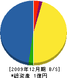 野津住建 貸借対照表 2009年12月期
