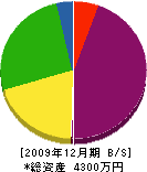 山﨑組 貸借対照表 2009年12月期